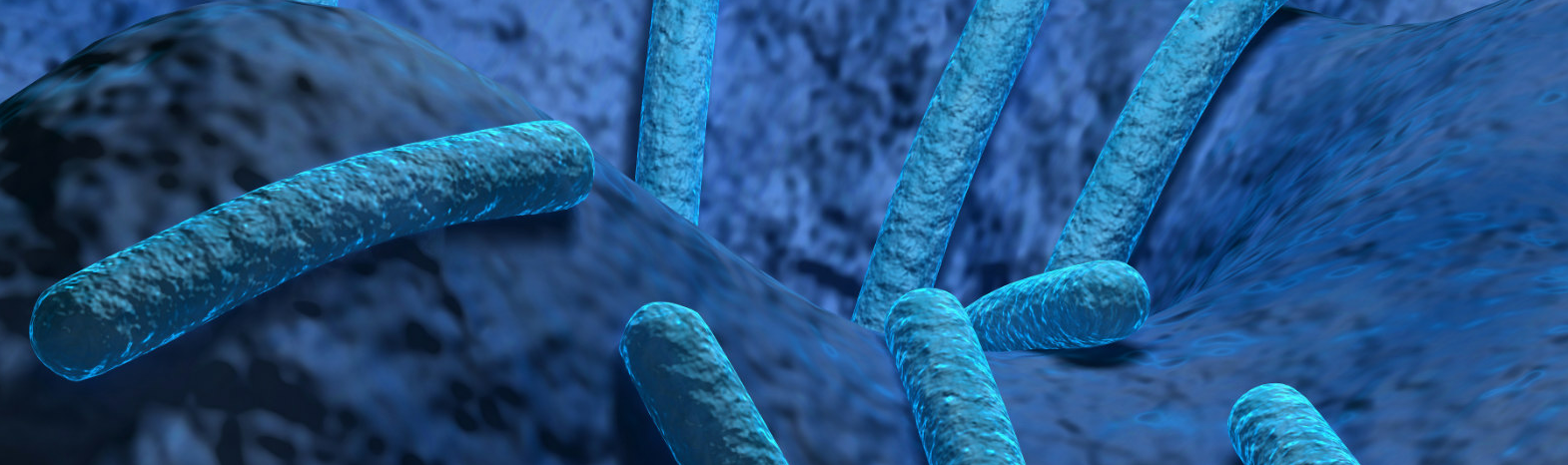 Illustration af Clostridium difficile